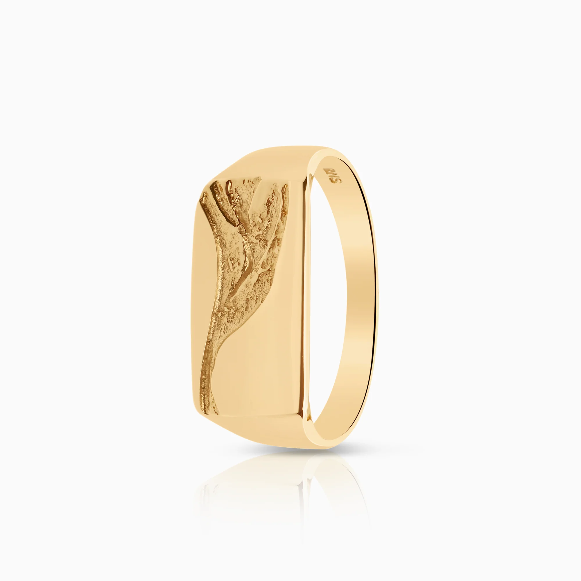 Signet Ring 3.22g 14K Gold